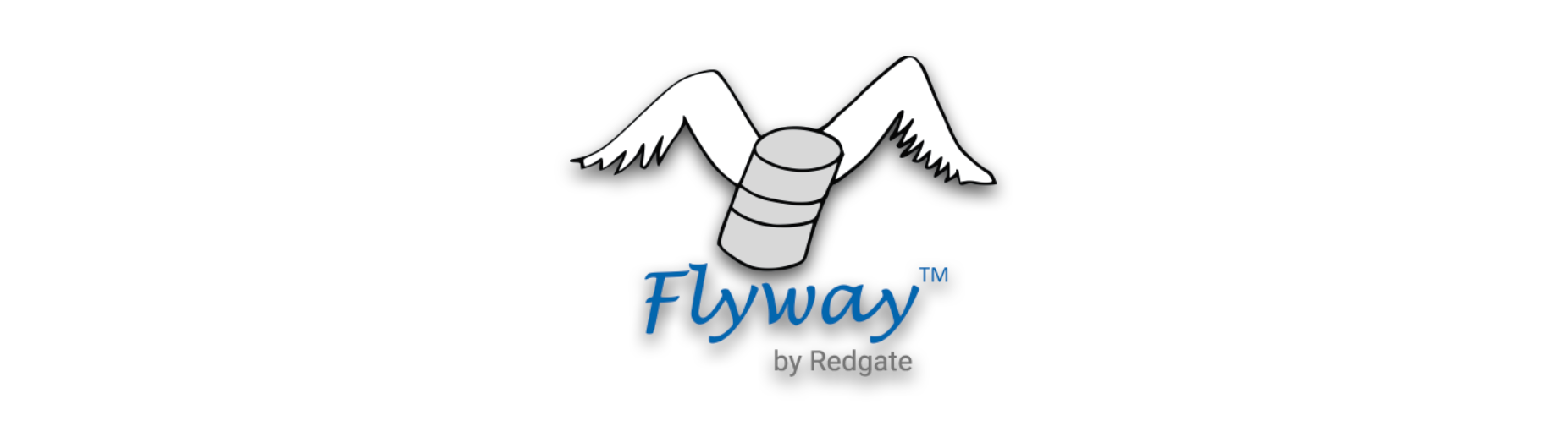 Flyway cover image