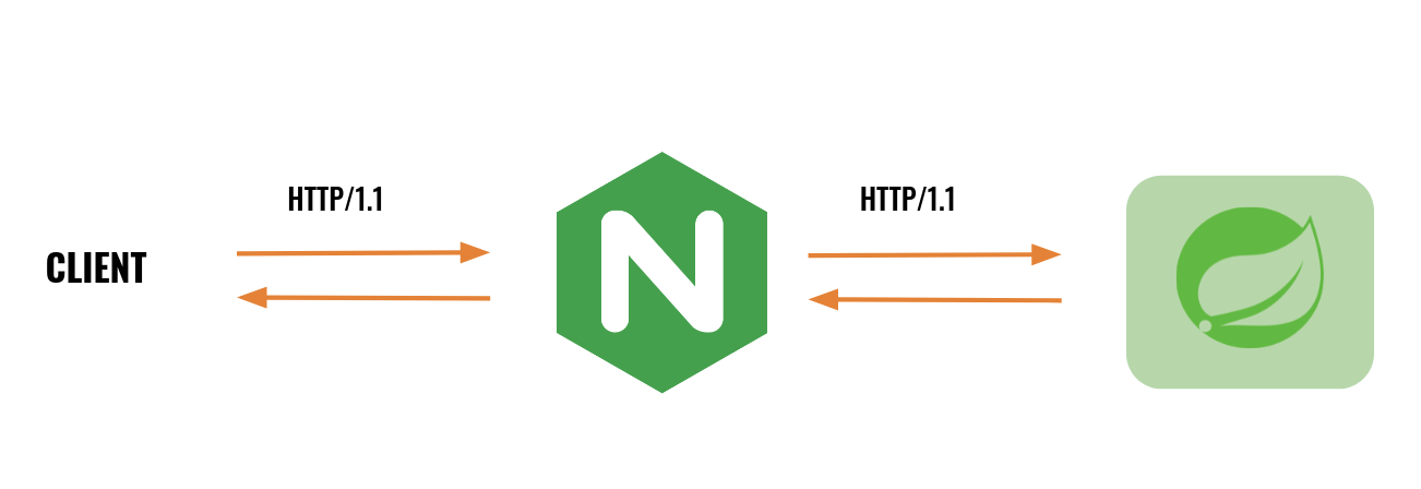 HTTP/1.1 NGINX