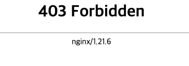 docker basic nginx 403
