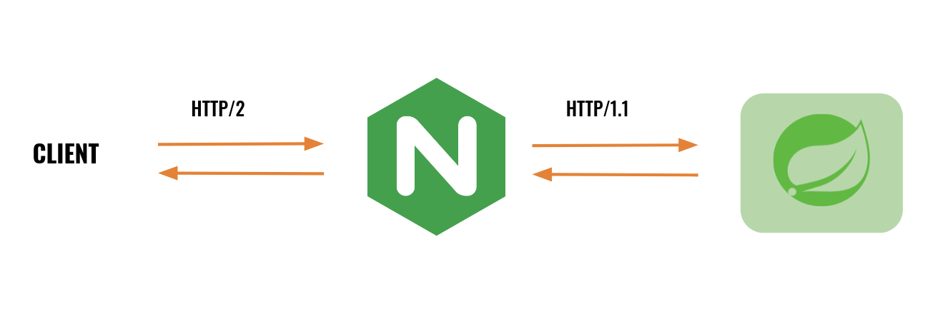 HTTP/2 NGINX