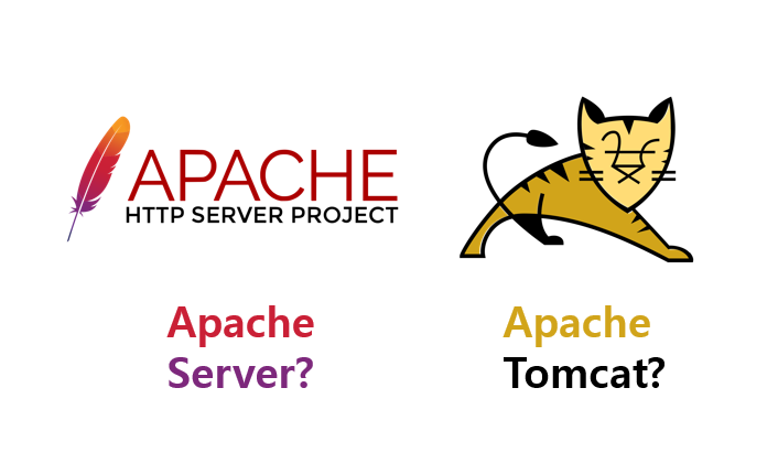 Apache HTTP Server? Apache Tomcat? 서버 바로 알기